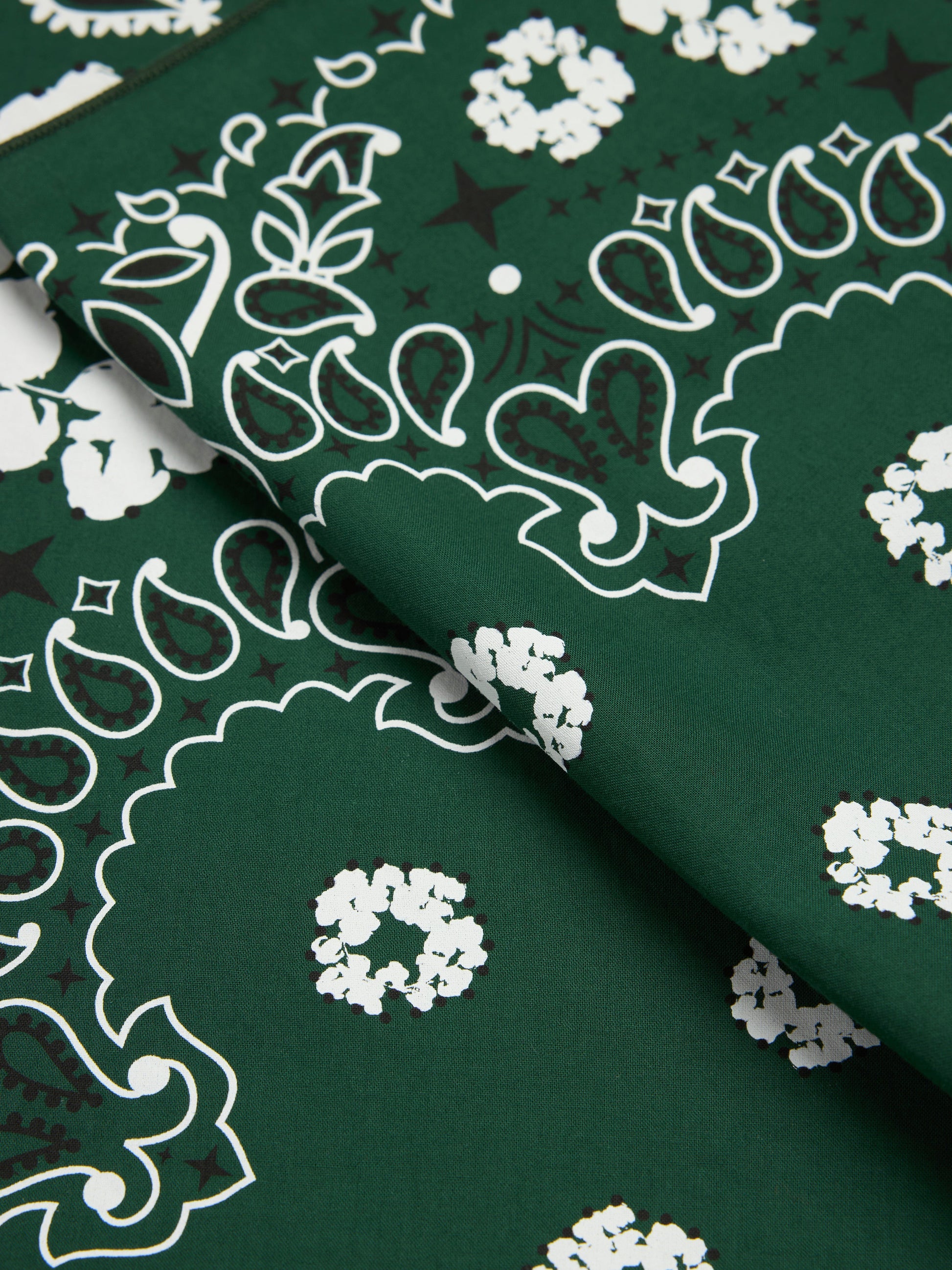 Cotton Wreath Paisley Bandana Green – view 3